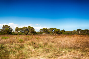 Obraz premium Nature in Majorca