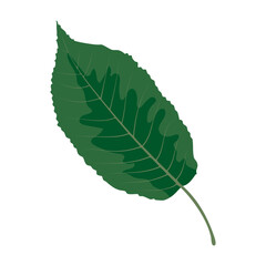 Detailed illustration of a large green leaf highlighting its natural beauty and texture