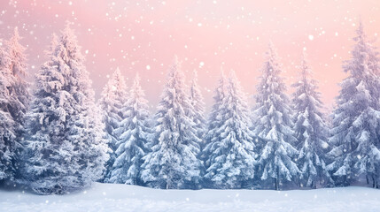 Fototapeta premium Snow-covered pine trees create a stunning winter panorama on a frosty evening.