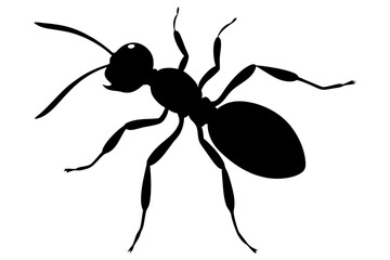 Ant silhouette Vector art illustration isolated white Background, Ant vector icon, Ant Silhouette for Art Illustration