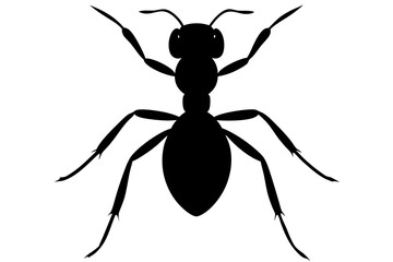 Ant silhouette Vector art illustration isolated white Background, Ant vector icon, Ant Silhouette for Art Illustration