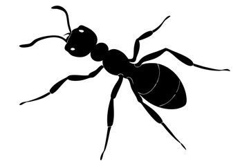 Ant silhouette Vector art illustration isolated white Background, Ant vector icon, Ant Silhouette for Art Illustration