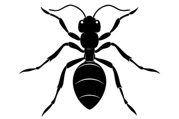 Ant silhouette Vector art illustration isolated white Background, Ant vector icon, Ant Silhouette for Art Illustration