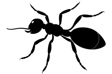 Ant silhouette Vector art illustration isolated white Background, Ant vector icon, Ant Silhouette for Art Illustration