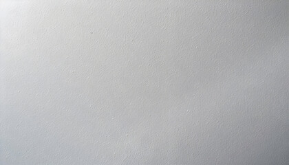 Plain Light Gray Textured Wall Surface