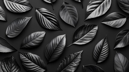 Elegant Black Leaf Pattern Background Design