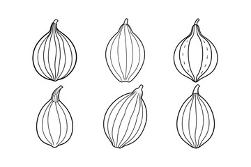 Cluster Beans (Cyamopsis tetragonoloba) design, labeled line art vector illustration