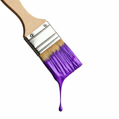 dripping purple paint on a paintbrush isolated on white background.