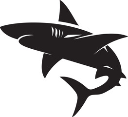 shark illustration