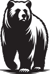 illustration of bear