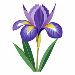 Fototapeta premium bouquet of snowdrops