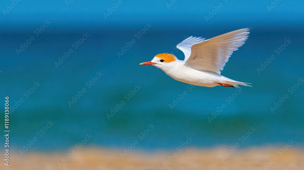 Poster dynamic motion, a blurred image of a bird in dynamic flight showcasing its wings in high fidelity.