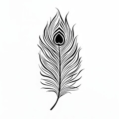 Obraz premium Line art black and white feather illustration on white background, sketch tattoo ideas, art for print