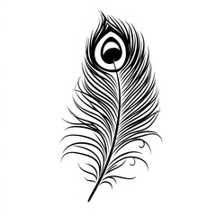 Obraz premium Line art black and white feather illustration on white background, sketch tattoo ideas, art for print
