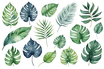 Set of watercolor tropical leaves isolated on a white or transparent background