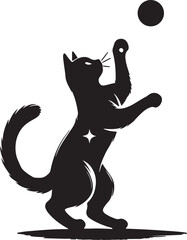 cat playing with ball