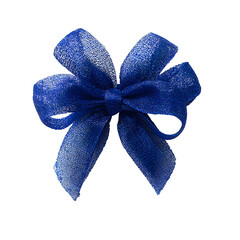 Elegant Blue Bow Ribbon for Celebratory Occasions and Festive Gatherings
