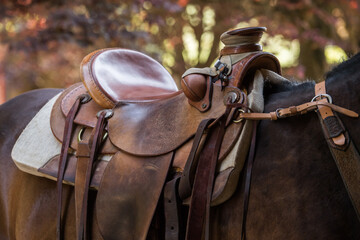 Detail of a wester wade saddle in a beautiful sunset light