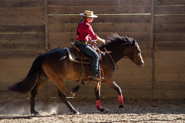 Cowgirl exercising a young quarter horse
