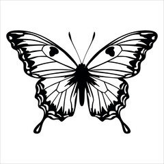 Black monochrome Butterfly Silhouette Vector illustration