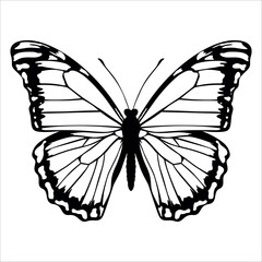 Black monochrome Butterfly Silhouette Vector illustration