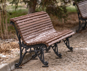 bench in the park