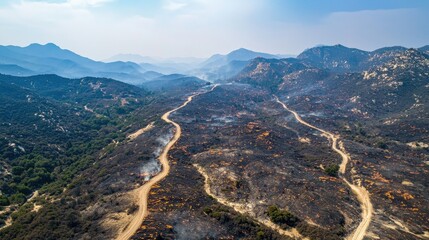 Obraz premium Aerial View of Burnt Landscape Revealing Charred Forest and Smoky Mountains After Wildfire in Natural Environment