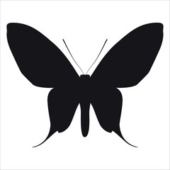 Black monochrome Butterfly Silhouette Vector illustration