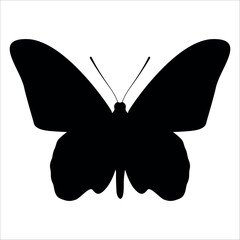 Black monochrome Butterfly Silhouette Vector illustration