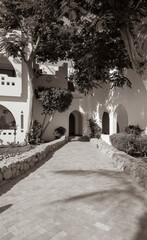 Scenic path to the house in the garden in summer. Black and white 