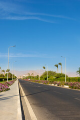 Incredibly beautiful roads and coastline with palm trees near the red sea in the tourist resort of the sunny town of Sharm El Sheikh in Egypt