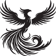 black and white bird