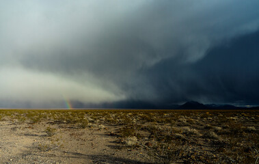 Rainbow Beneath a Desert Storm