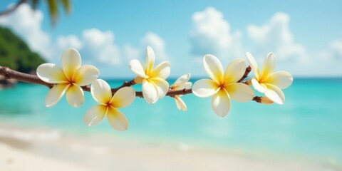 Naklejka premium Tropical Frangipani Blossoms Adorn a Branch Overlooking a Serene Ocean Beach
