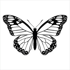 Black monochrome Butterfly Silhouette Vector illustration