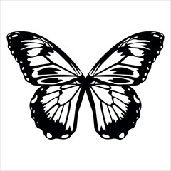 Black monochrome Butterfly Silhouette Vector illustration