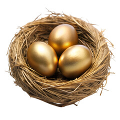 Obraz premium Gold egg in nest isolated on transparent background
