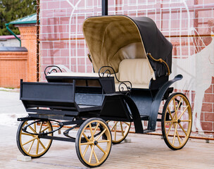 horse carriage in the park