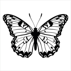 Black monochrome Butterfly Silhouette Vector illustration