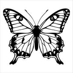 Black monochrome Butterfly Silhouette Vector illustration