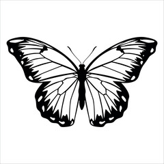 Black monochrome Butterfly Silhouette Vector illustration