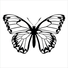 Black monochrome Butterfly Silhouette Vector illustration
