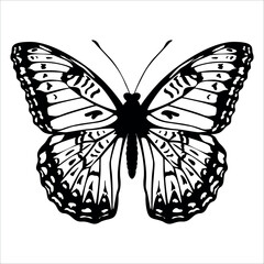 Black monochrome Butterfly Silhouette Vector illustration