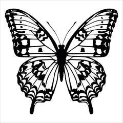 Black monochrome Butterfly Silhouette Vector illustration