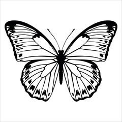 Black monochrome Butterfly Silhouette Vector illustration