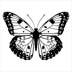 Black monochrome Butterfly Silhouette Vector illustration