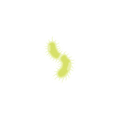 Yersinia Pestis Illustration 