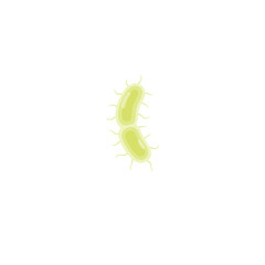 Yersinia Pestis Illustration 