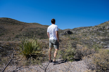 Persona parada en el desierto junto a plantas de sotol dasylirion