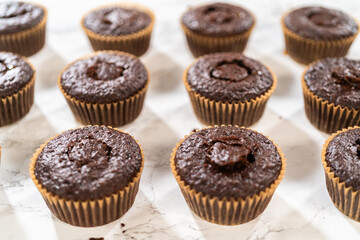 Baking Chocolate Cupcakes with Decadent Chocolate Frosting